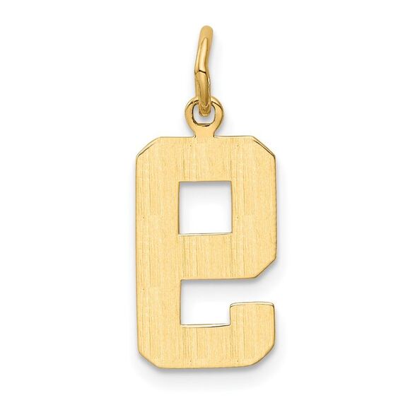 14k Yellow Gold, Athletic Collection Medium Polished Number 9 Pendant - Picture 3 of 5